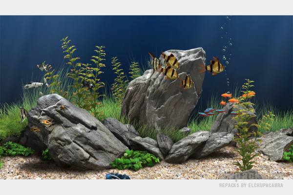 Dream Aquarium 1.293 (Repack & Portable)