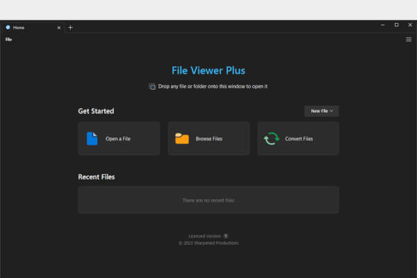 File Viewer Plus 5.1.0 (Repack & Portable)
